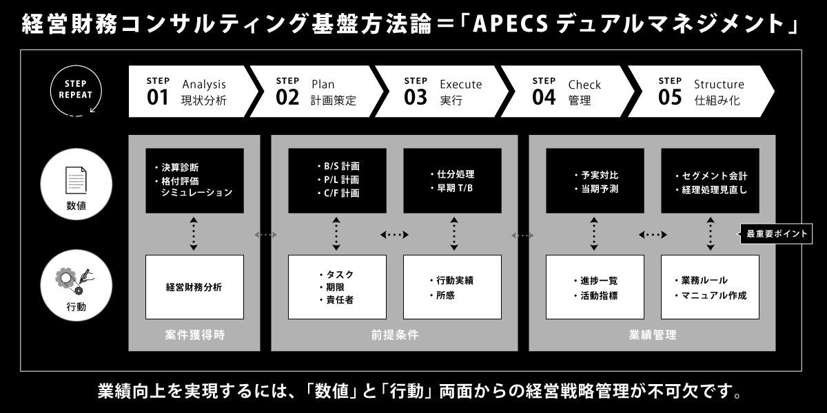 経営財務コンサルティング基盤方法論＝「APECS デュアルマネジメント」
